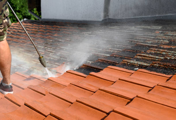 Best Pressure Washing Brick  in Jeffersontown, KY